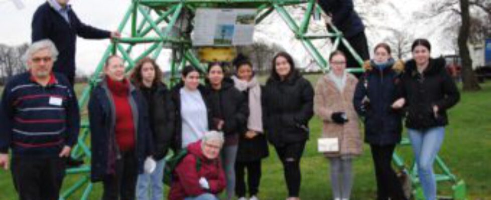 DWM_001-scaled-340x250